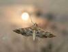 223298 – Photo : Didier Levasseur – Thaïlande